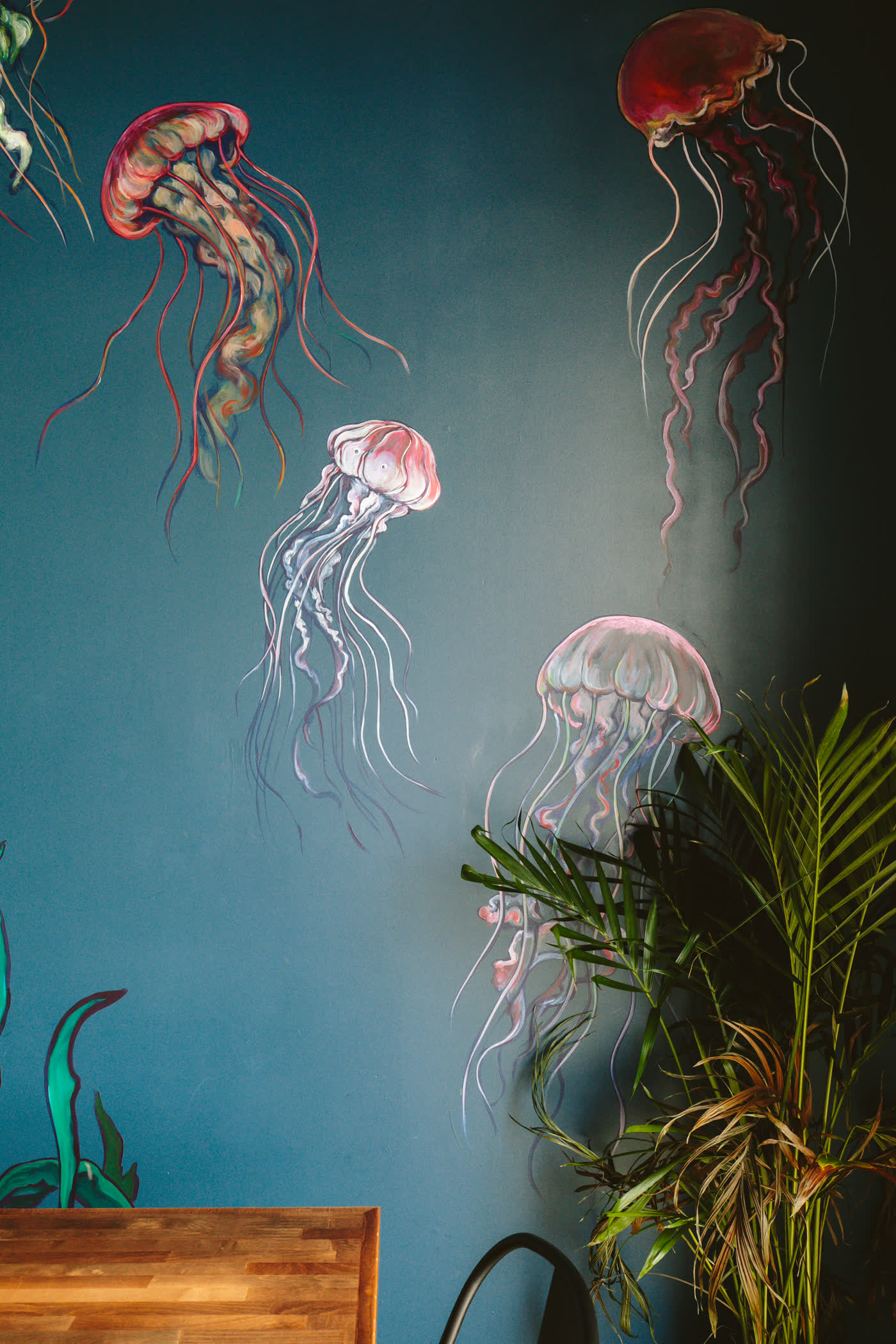Iggy's gallery 3